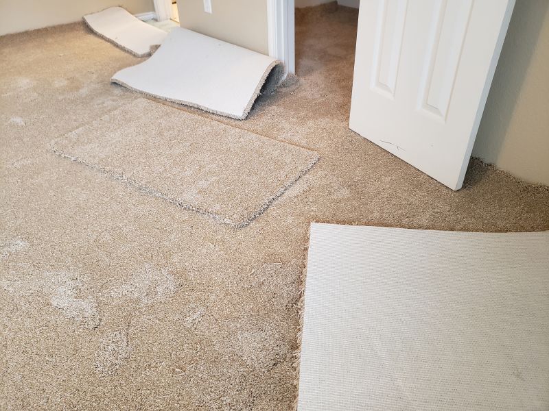Basement Carpet Stretching in Kansas City, MO