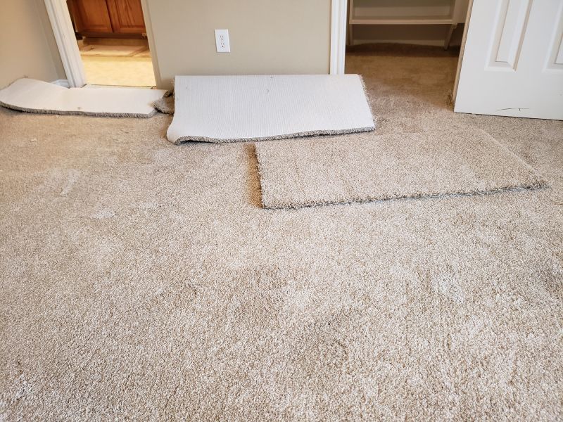 Carpet Seam Repair in Kansas City, KS
