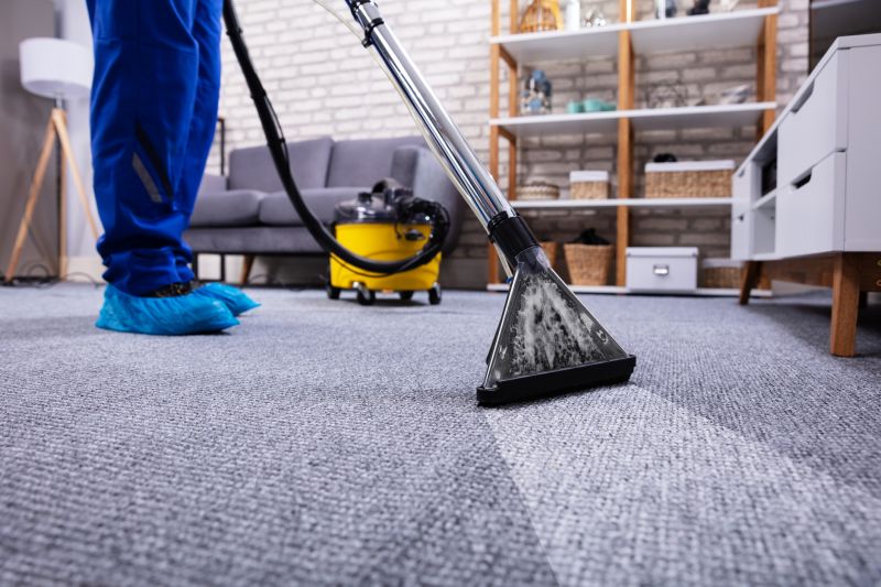 Eco-Friendly Carpet Cleaning