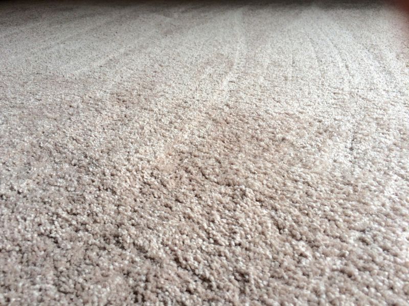 carpet