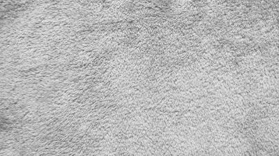 Living Room Carpet Installation